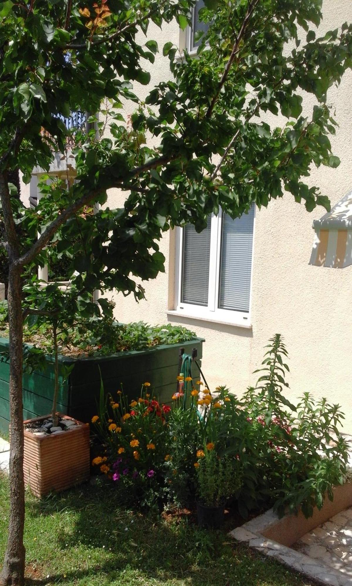 Apartment Laura Poreč Exterior foto